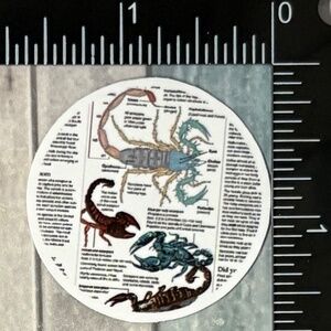 🌀10/$10🌀 Vintage Insect Reusable Sticker Decal